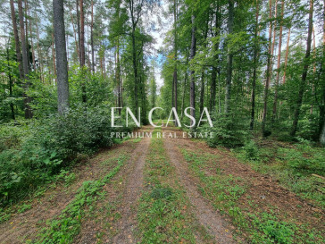 Plot Sale Orzyny